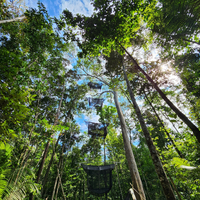 As armadilhas do tipo "Malaise" adaptadas exclusivamente para o projeto do INCT-BioDossel