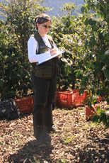 Juliana Hipolito de Sousa.png