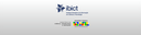 Capa_do_Site_DIBIB.png
