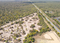 Dados do Prodes apontam redução histórica da supressão de vegetação natural no bioma Pantanal em 2025