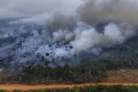 Estudo do INPE publicado na Nature aponta atividades humanas como principal fator das emissões de carbono na Amazônia