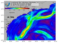 INPE participa da devolução ao mar de pinguins e lobo-marinho
