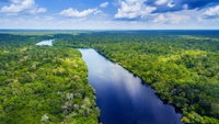 INPE receberá apoio do Fundo Amazônia para aprimorar monitoramento ambiental