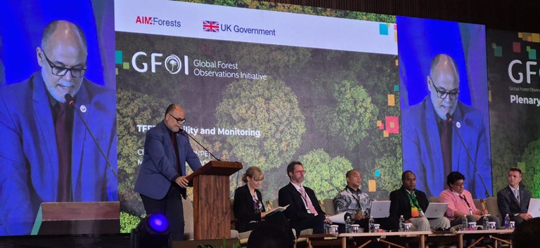 Coordenador do Programa BiomasBR na plenária mundial do GFOI, em Bali