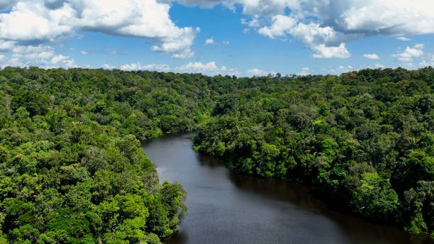 Amazônia iStock.jpg