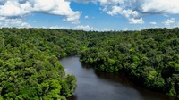 Pesquisadores do INPE publicam estudo sobre aumento de extremos climáticos na Amazônia
