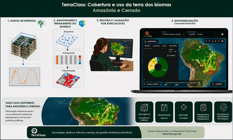 Infográfico TerraClass