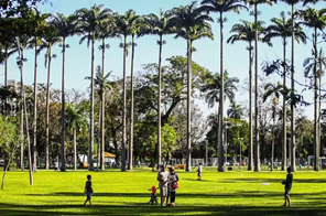 Parque da Cidade Roberto Burle Marx.png