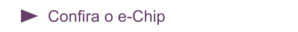 10_CHIP.jpg