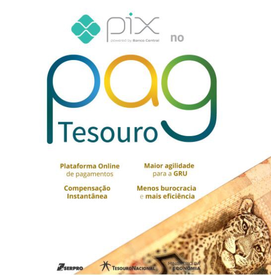 Logo_PagTesouro.jpg