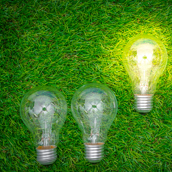 Dia Mundial do Meio Ambiente