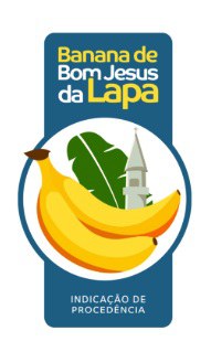 bom-jesus-da-lapa.jpg