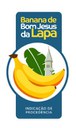 bom-jesus-da-lapa.jpg