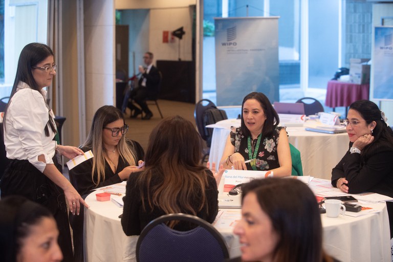 Reunião regional sobre PI e gênero