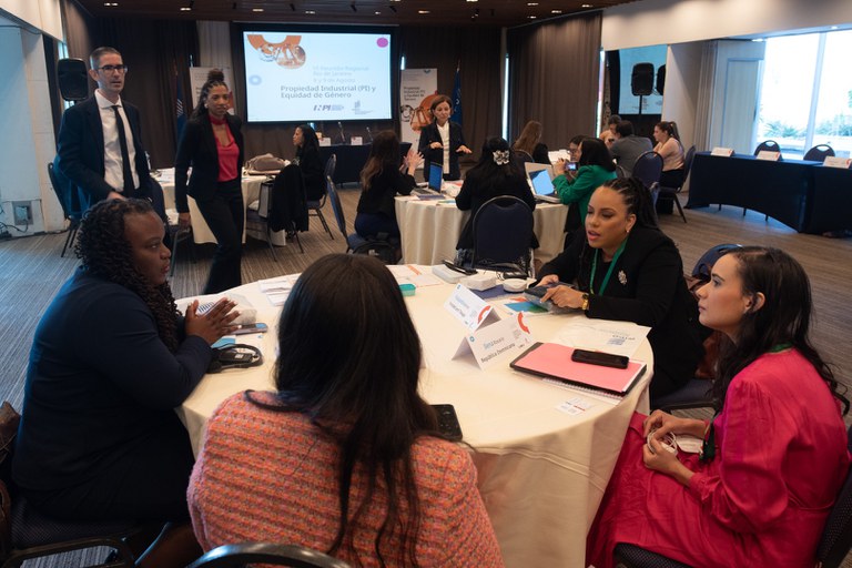 Reunião regional sobre PI e gênero