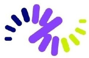 501807698.png