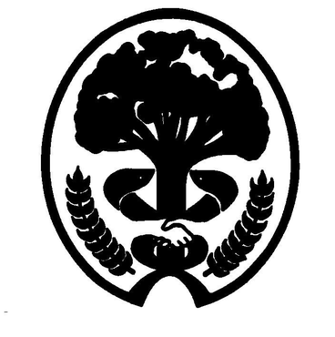 817650890.png