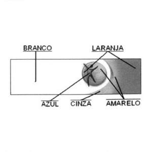 830017046.png