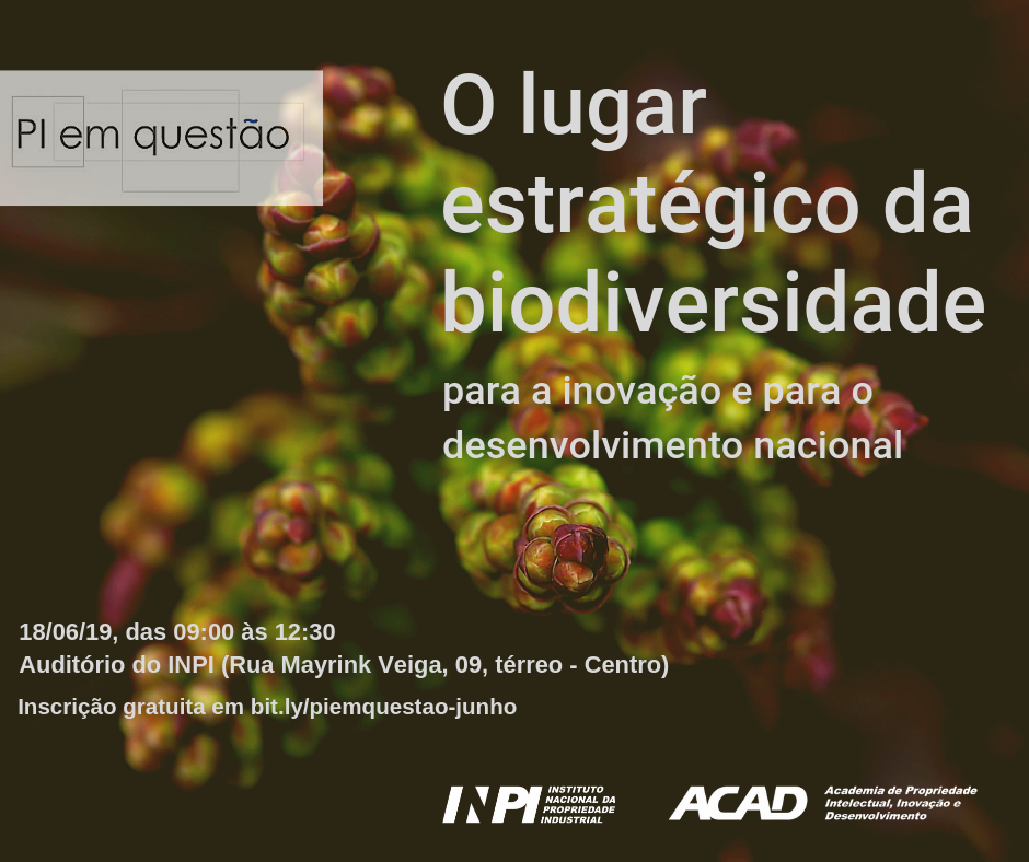 PI em Questão Junho 19