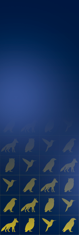 Left - Banner - Academia Virtual do INPI.png