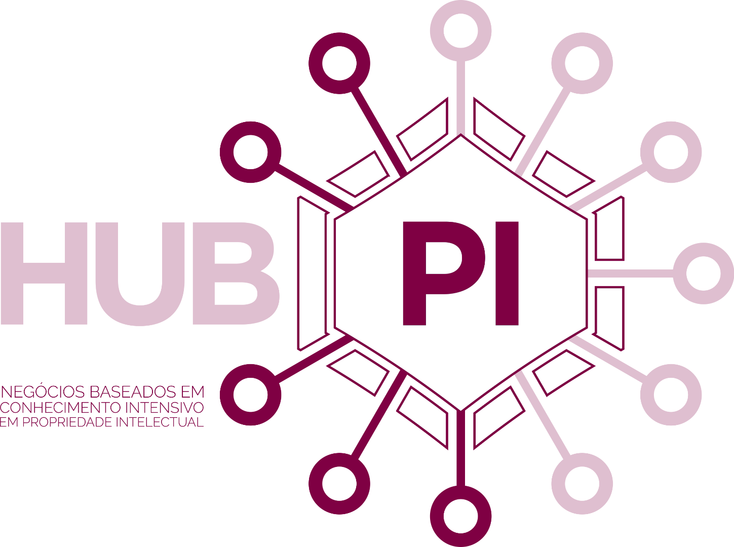 Programa Hub.PI