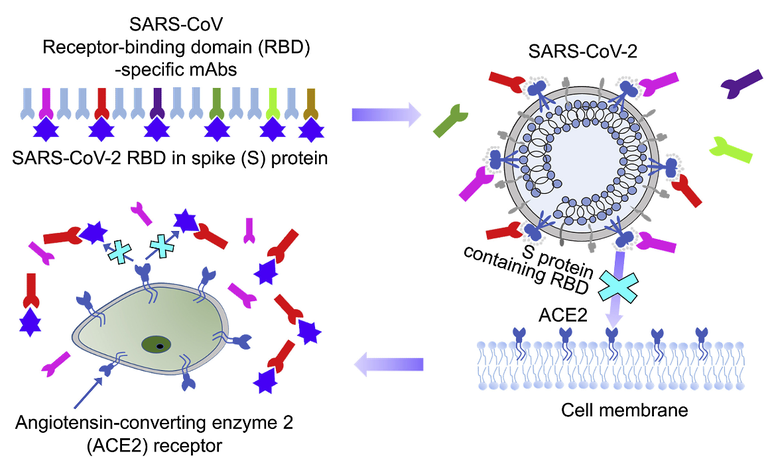 medicamento 14 mai 2.png