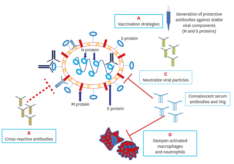tratamento 11 mai.png