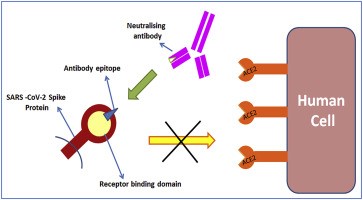 tratamento 12 mai.png.jpg