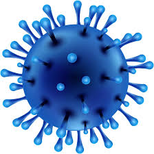 virus.jpg