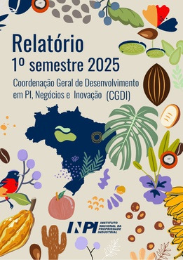 Capa de Relatório - CGDI_page-0001.jpg