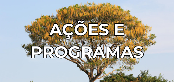 Fundo  árvore, acesso a Ações e Programas