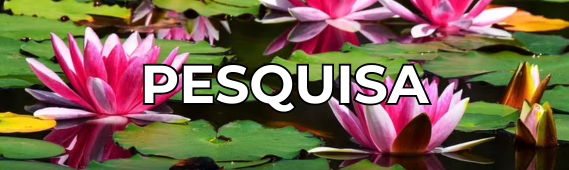 Fundo Flor Vitória-Régia, acesso à Pesquisa