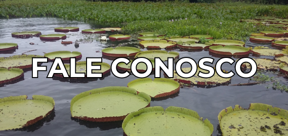 Fundo Aguapés. Acesso ao Fale Conosco