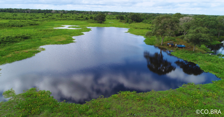 Pantanal
