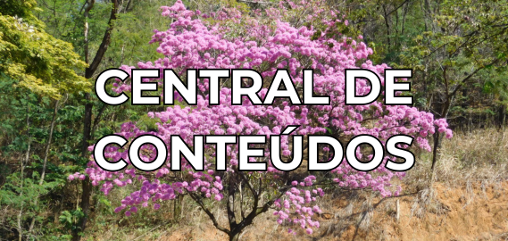 Fundo Árvore Piúva, acesso à Central de conteúdos