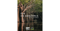 Dia da Amazônia: a força das áreas úmidas na conservação da maior floresta tropical do mundo
