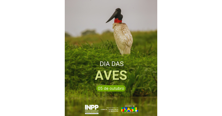 Dia das Aves