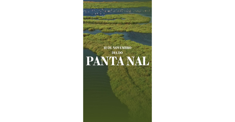 Dia do Pantanal