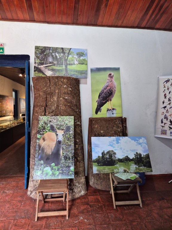 Exposição "Áreas Úmidas do Mato Grosso"