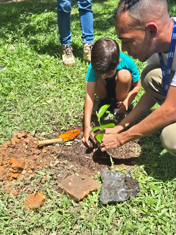 Plantio de mudas nativas