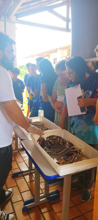 Projeto Sapo Pantaneiro