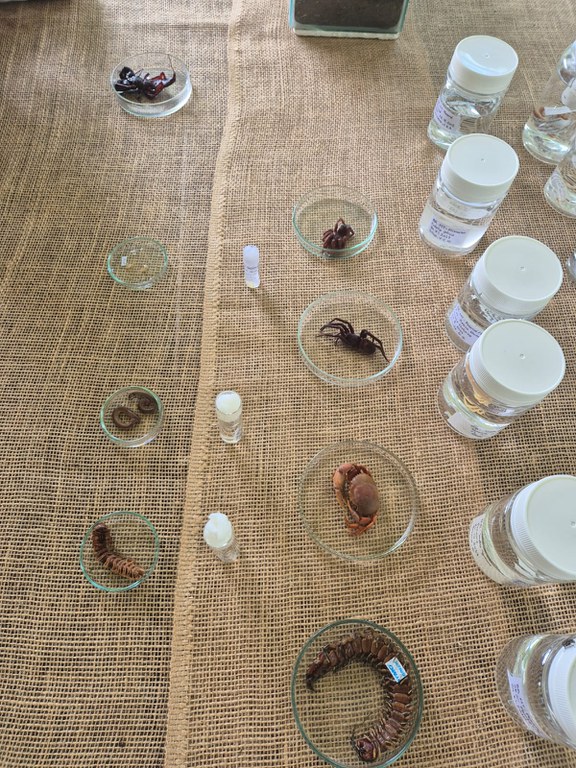 Dia mundial de Áreas Úmidas