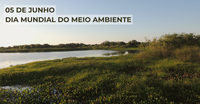 Dia Mundial do Meio Ambiente destaca impactos da poluição por microplásticos no Pantanal.