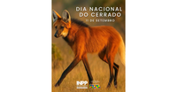 Dia Nacional do Cerrado: proteger este bioma é também preservar o Pantanal