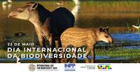 Harmonia com a Natureza e Desenvolvimento Sustentável: pesquisas no Pantanal fortalecem a conservação da biodiversidade