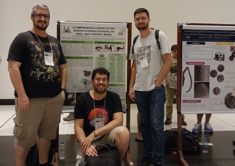 3 simpósio de mirmecologia