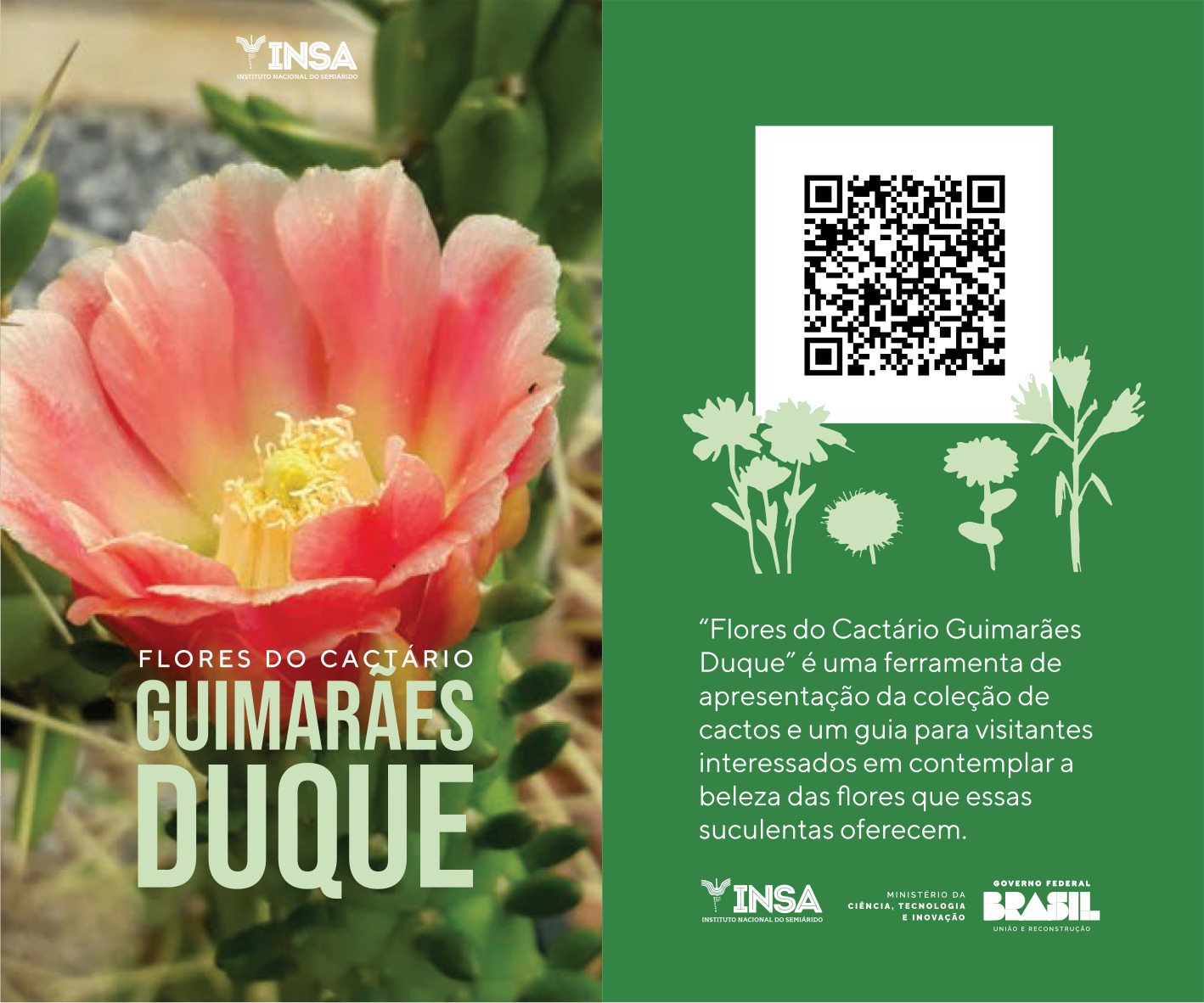 Cartilha Flores do Cactário Guimarães Duque