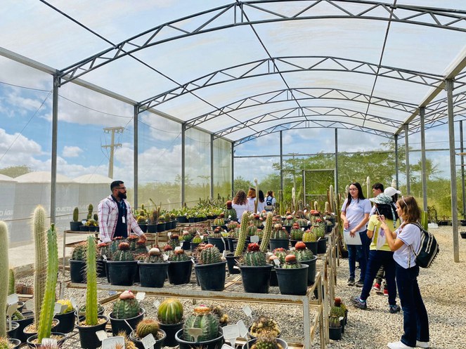 Iniciativas que envolvem as áreas de Biodiversidade e Popularização da Ciência da INSA/MCTI