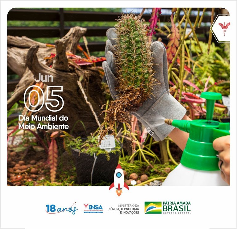 WhatsApp Image 2022-06-03 at 11.44.14.jpeg