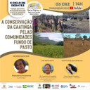 01122021 Live Produção Animal.jpeg